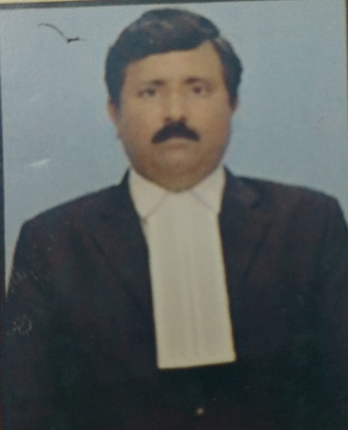 Member